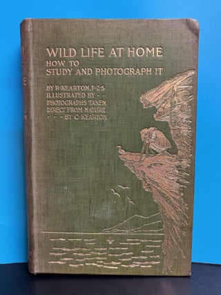 Wild Life at Home: How to Study and Photograph It