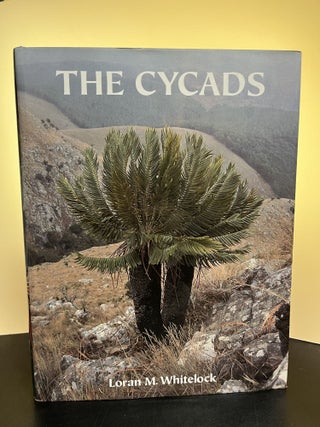 Item #7342 The Cycads. Loran M. Whitelock