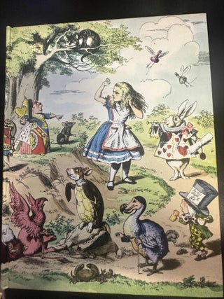 Item #8428 Alice in Wonderland and Through the Looking Glass. Lewis Carroll