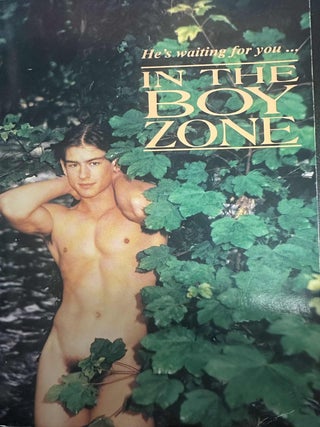 Item #9722 In The Boy Zone: A Superb New Collection of Erotic Tales About Cruising. John Patrick